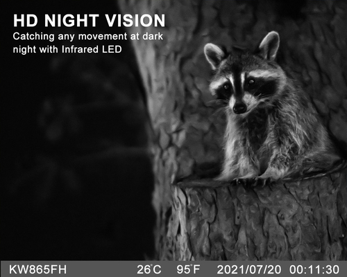 Camera đường mòn săn bắn ngoài trời WIFI với màn hình xem ứng dụng di động