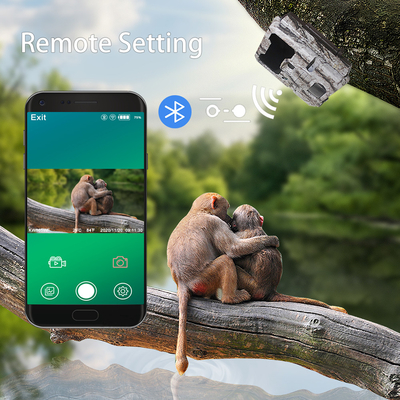 Camera đường mòn săn bắn ngoài trời WIFI với màn hình xem ứng dụng di động