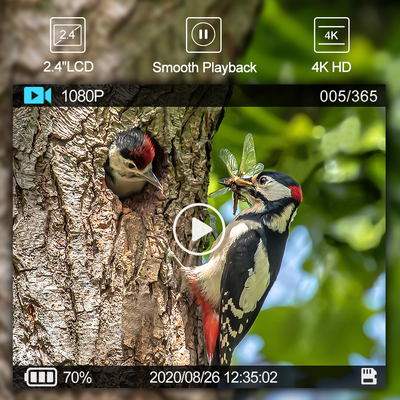Camera đường mòn săn bắn ngoài trời WIFI với màn hình xem ứng dụng di động