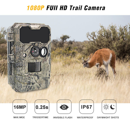 IP67 Ngụy trang Không phát sáng Camera theo dõi săn hươu kích hoạt nhanh hồng ngoại