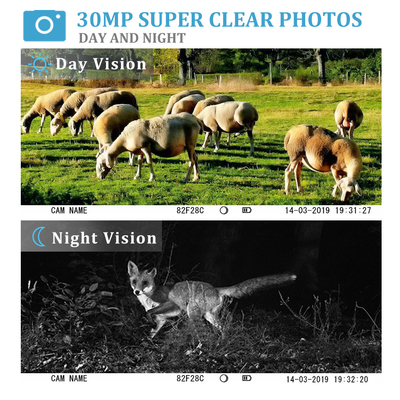 Camera ngoài trời Trail Camera bẫy trò chơi Camera săn bắn hồng ngoại Động vật hoang dã Camera video thiên nhiên
