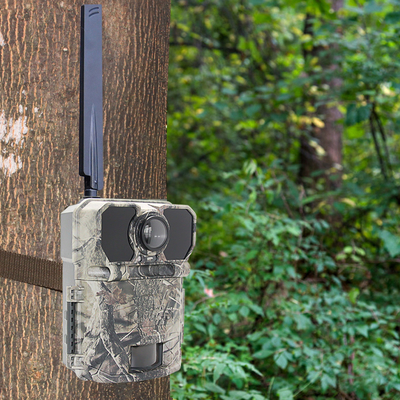 Camera ngoài trời Trail Camera bẫy trò chơi Camera săn bắn hồng ngoại Động vật hoang dã Camera video thiên nhiên