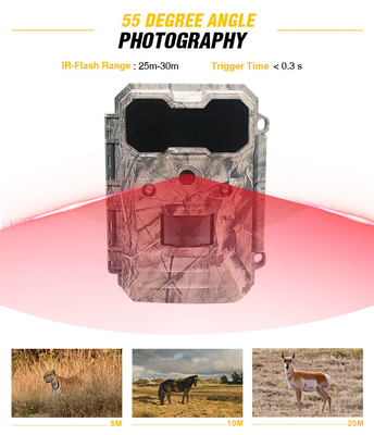 Camera đường mòn Giám sát an ninh Tầm nhìn xa bằng nhiệt IP65 Giá thấp Chất lượng tốt