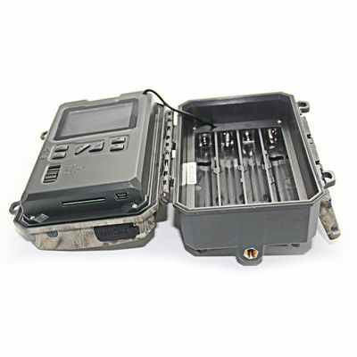 Camera động vật hoang dã hoạt động