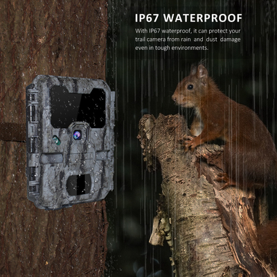 Đèn LED 940nm Wifi Trail Camera APP Điều khiển từ xa Không phát sáng Vô hình