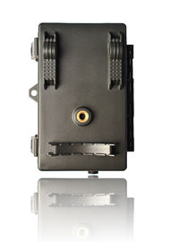 Camera săn hồng ngoại theo dõi tự động, Camera động vật hoang dã ngoài trời 1080P