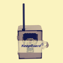 Máy ảnh cảm biến chuyển động săn bắn 12MP Máy ảnh kỹ thuật số động vật hoang dã cho hươu