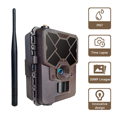 Ứng dụng máy ảnh đường mòn không dây 4G Điều khiển từ xa Máy ảnh săn bắn di động màn hình HD