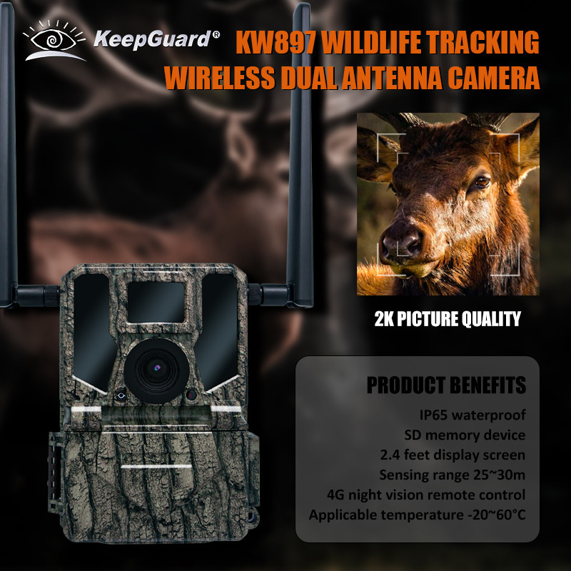 4G Wireless Trail Camera Hidden Camouflage KW897 với ăng-ten kép Night Vision 36MP 2K Video cho săn nai