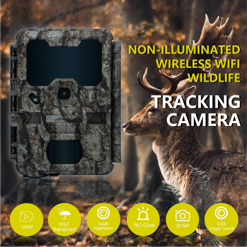 KW865 WIFI Camera ẩn chống nước IP67 20MP 0.6s tốc độ kích hoạt lên đến 512GB lưu trữ đường mòn thị giác ban đêm Camera