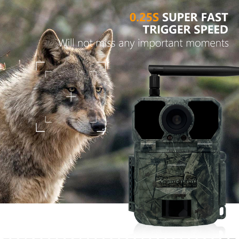 Camera theo dõi săn bắn 4G KW895 với APP 2K FHD Video hình ảnh 30MP chống nước IP67 lên đến 512GB lưu trữ cho nghiên cứu động vật hoang dã