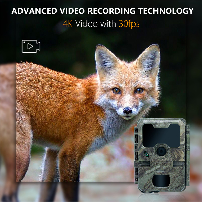 Camera săn bắn tầm nhìn ban đêm với kích thước nhỏ KW788 0.1s kích hoạt hình ảnh sắc nét 32MP video 4K chống nước IP67 cho săn bắn