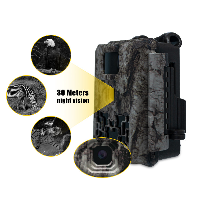 Máy ảnh đường mòn động vật hoang dã Không phát sáng 30MP Hình ảnh 1080P Video Không thấm nước IP67 lên đến 512GB Lưu trữ Giá cạnh tranh Máy ảnh săn