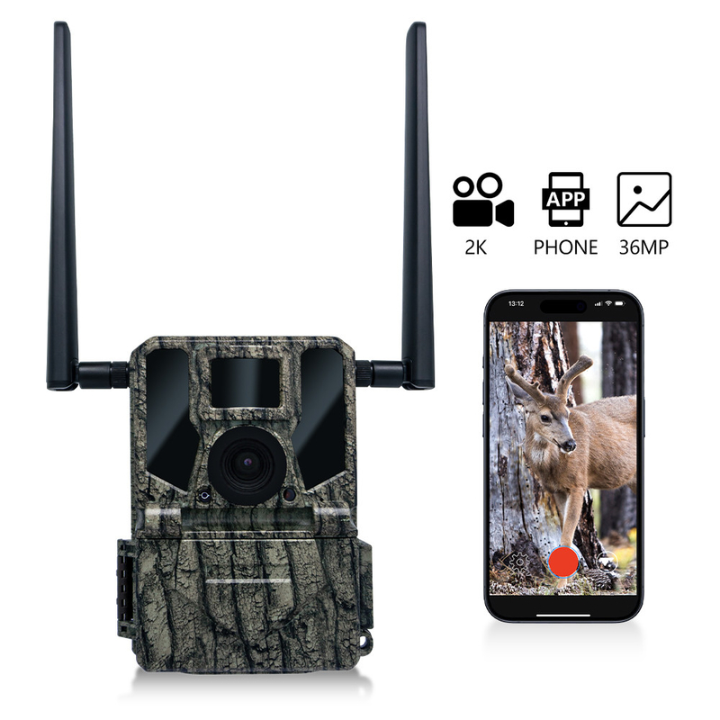 2024 Máy ảnh săn bắn không dây 4G cao cấp mới nhất KW897 với ăng-ten kép 100ft Night Range 36MP 2K Video ở 30fps cho động vật hoang dã