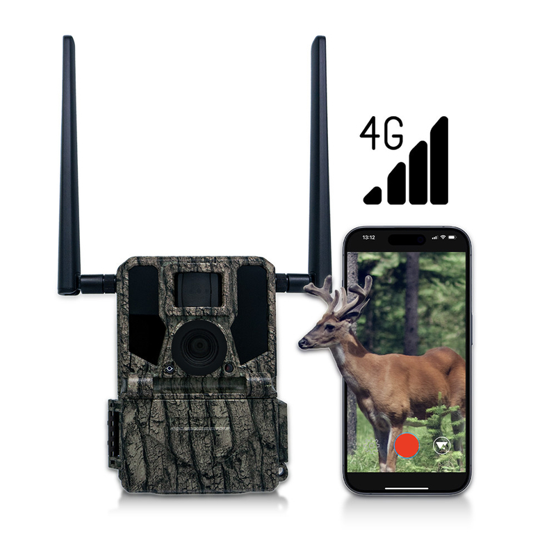 Camera săn bắn và theo dõi Bảng năng lượng mặt trời 4G Camera không dây KW897 với ăng-ten kép 100ft Night Range 36MP 2K Video ở 30fps