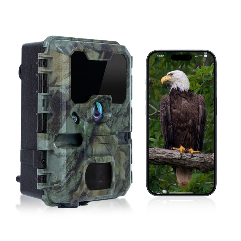 Camera Trail Với Kích thước nhỏ KW788 0.1s Trả lời 32MP hình ảnh sắc nét 4K Video chống nước IP67 lên đến 512GB để xem động vật hoang dã