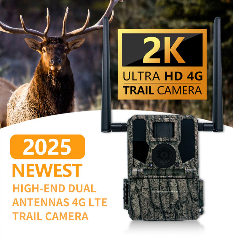 4G Trail Camera Photo Video 36MP Image Size 1-9 Capture Number 5s-60s Độ dài video